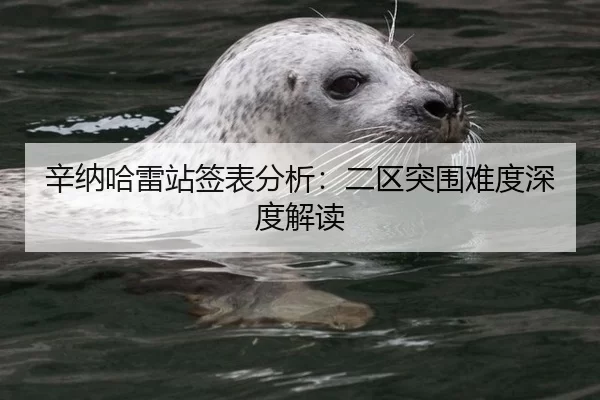 辛纳哈雷站签表分析：二区突围难度深度解读